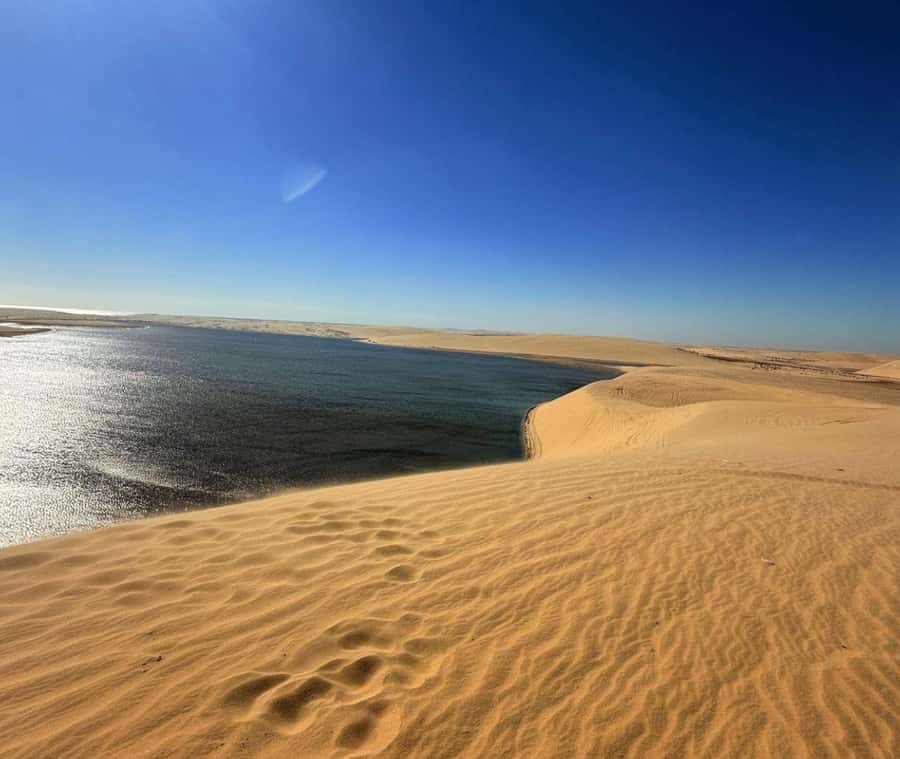 Doha: Guided Desert Safari Tour with Pickup & Drop Service - What the five-hour schedule feels like