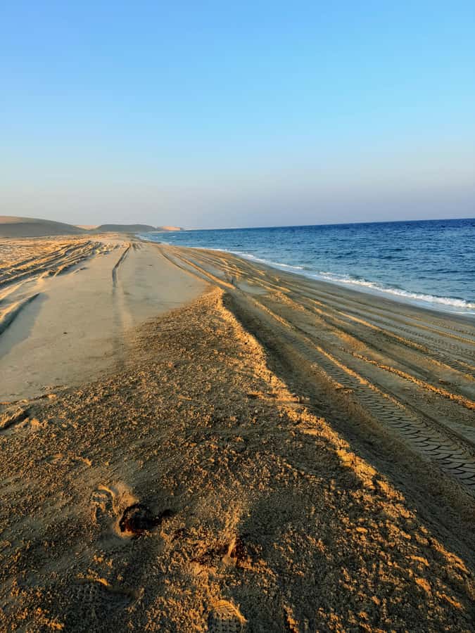 Doha: Guided Desert Safari Tour with Pickup & Drop Service - Service, safety, and the human side