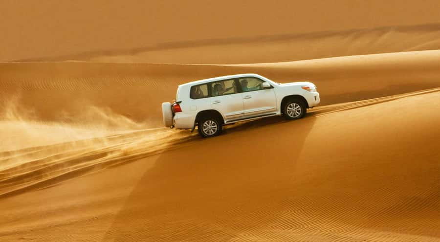 Doha: Half Day Desert Safari, Dune Bashing, Camel Ride - Khor Al Adaid, where sand meets water