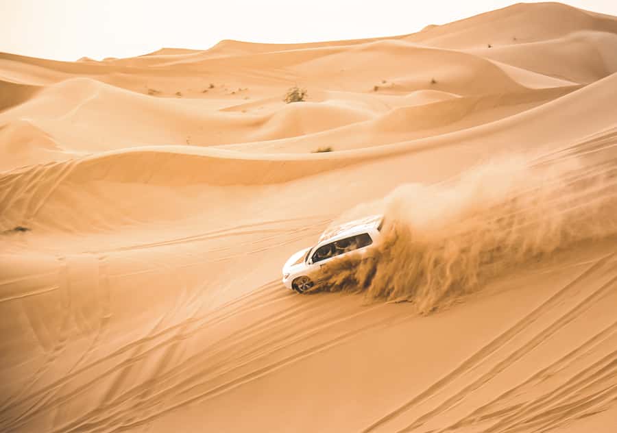 Doha: Half-Day Desert Safari, Quad Bike, Camels & Inland Sea - Camel photos and a short taste of desert life
