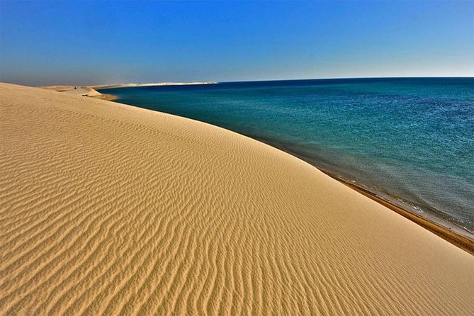 Doha : Half Day Desert Safari With SandBoarding and Camel Ride - Sealine Beach: camels, photos, and lowering the tire pressure