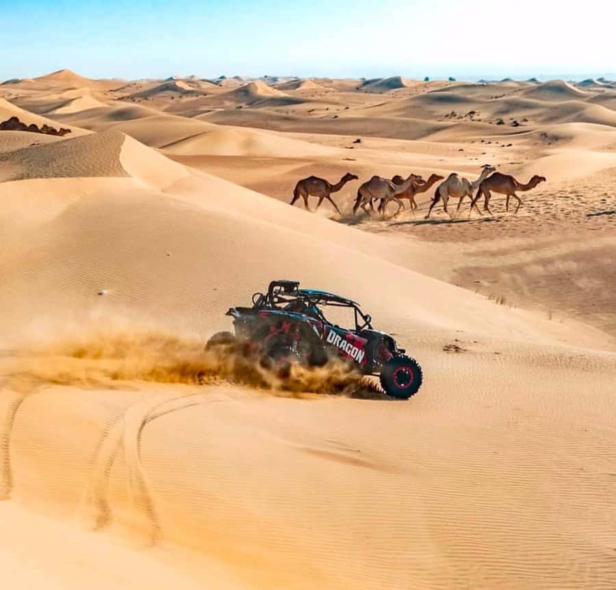 Doha: Inland Sea, Desert Safari, Camel Ride and Sandboarding - Dune bashing with a skilled 4WD driver