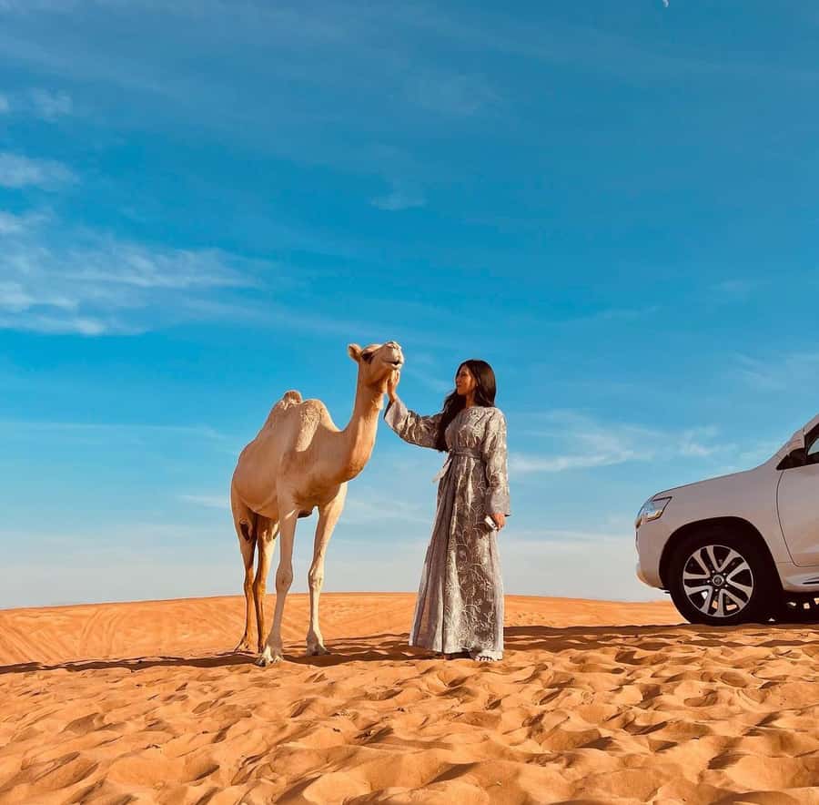 Doha: Inland Sea, Desert Safari, Camel Ride and Sandboarding - What the guide adds to the experience
