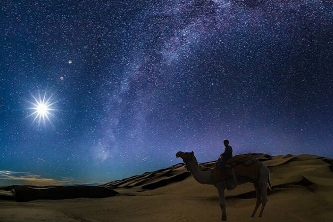 Doha Night Desert Safari Camel Ride Dune Bashing with Transfer - What this four-hour Qatar safari is really like