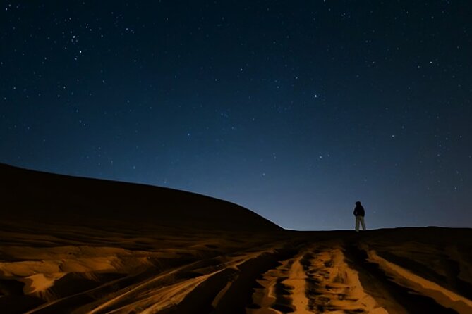 Doha Night Desert Safari Camel Ride Dune Bashing with Transfer - Who will enjoy this night safari most