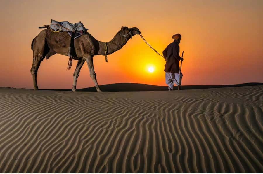 Doha Night Desert Safari Stargazing And Camel Ride - Why the desert works better after dark