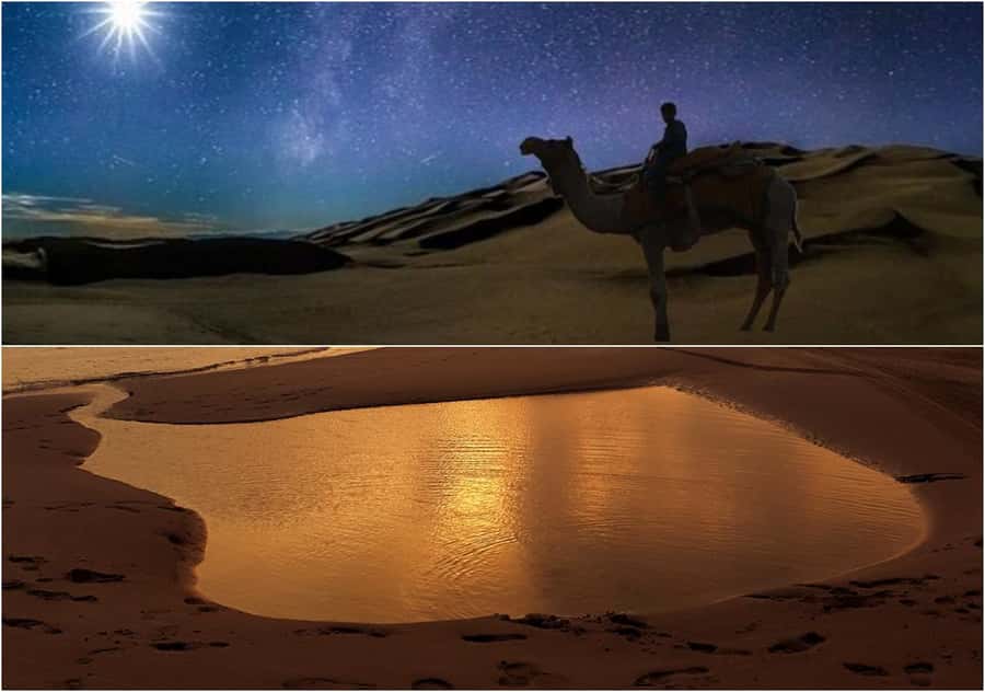 Doha Night Desert Safari Stargazing And Camel Ride - Sandboarding and dune bashing near Ash Shaqra’