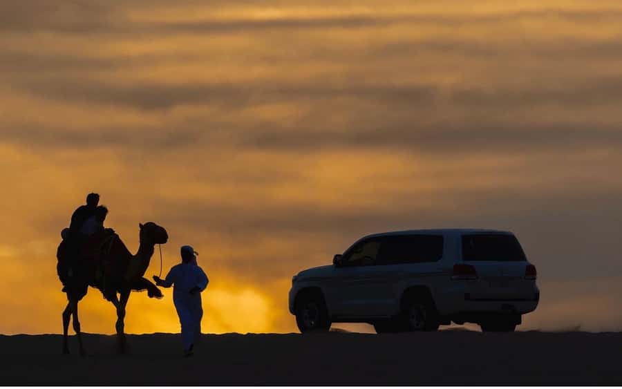Doha Night Desert Safari Stargazing And Camel Ride - Guides make the short schedule work