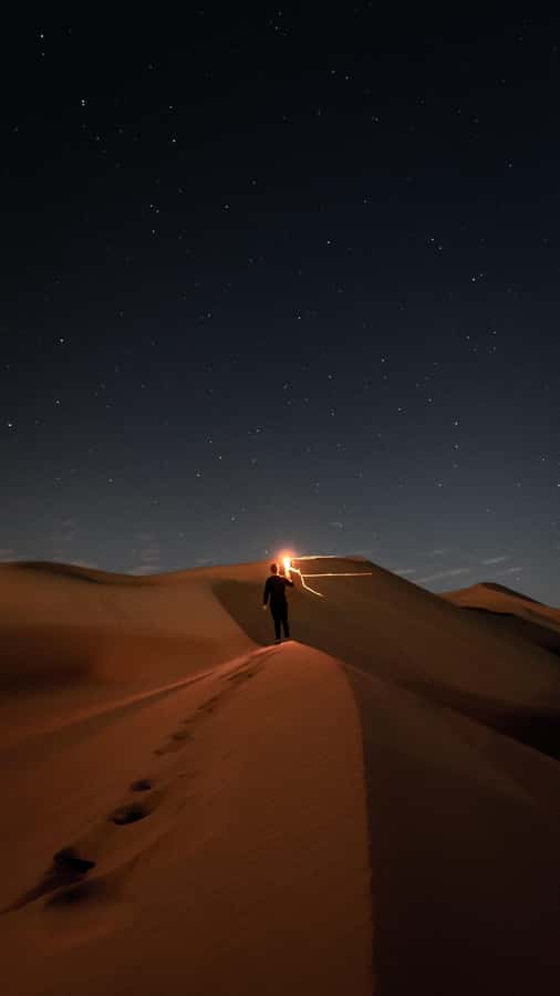 Doha: Night Desert Safari, Stargazing, Dune Driving &Inland - Key points to know before you go