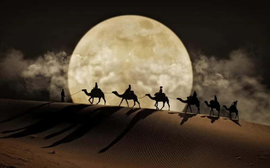 Doha: Night Desert Safari, Stargazing, Dune Driving &Inland - Mesaieed, tea, camels, and a short camp stop