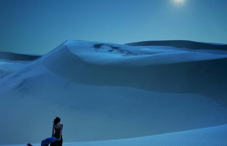Doha: Night Desert Safari, Stargazing, Dune Driving &Inland - Stargazing in Qatar’s open desert