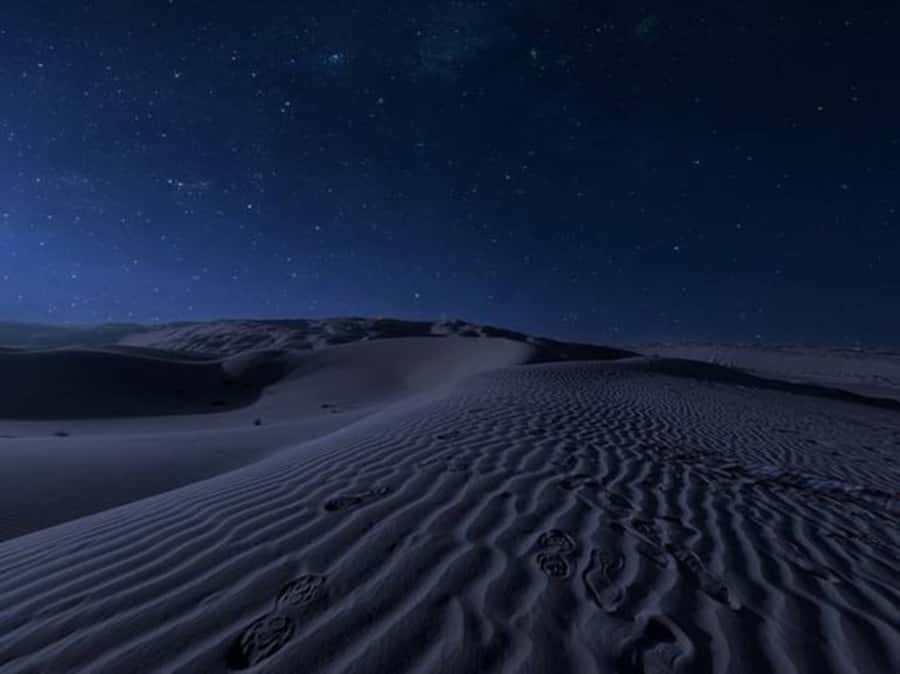 Doha: Night Desert Safari with Stargazing & Camel Ride - Key points at a glance