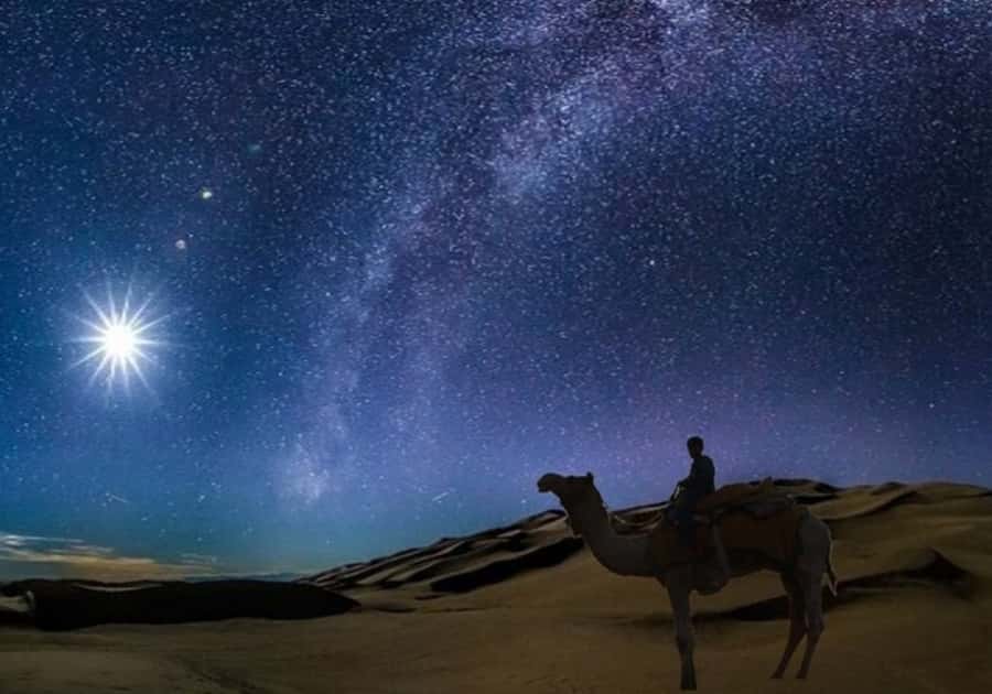 Doha: Night Desert Safari with Stargazing & Camel Ride - Why a night safari works so well in Doha