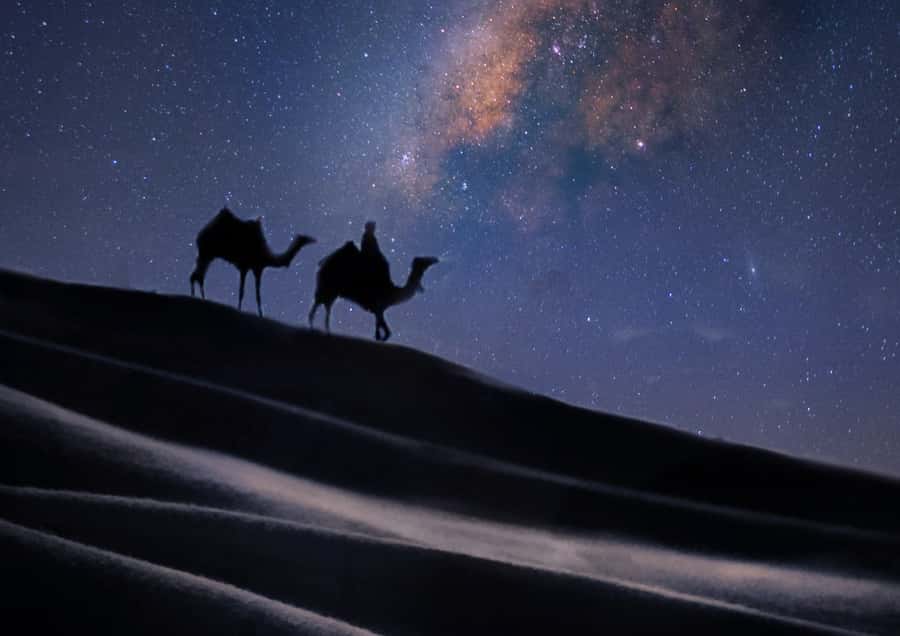 Doha: Night Desert Safari with Stargazing & Camel Ride - Where the sand meets the sea