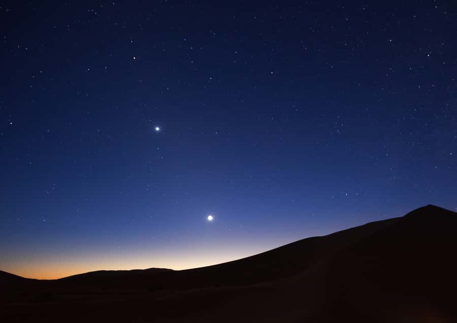 Doha: Night Desert Safari with Stargazing & Camel Ride - Guides, driving, and the personal touch