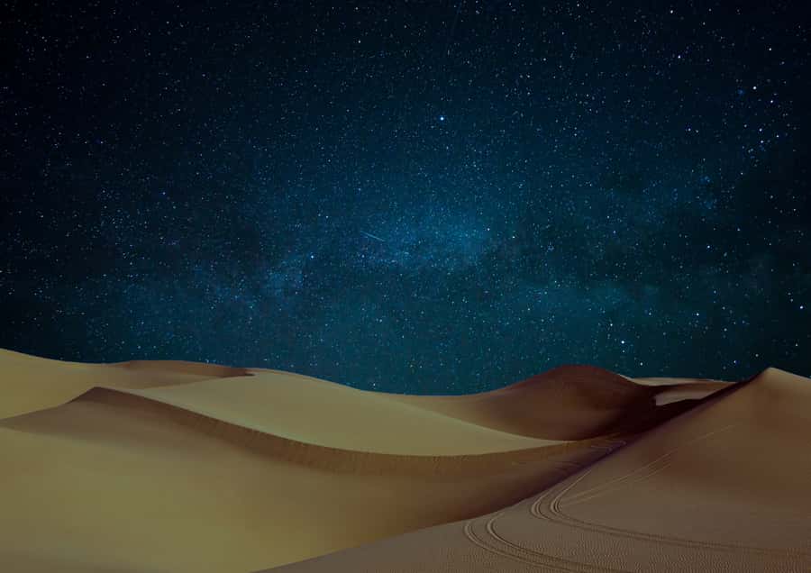 Doha: Night Desert Safari with Stargazing & Camel Ride - Comfort, safety, and what to wear