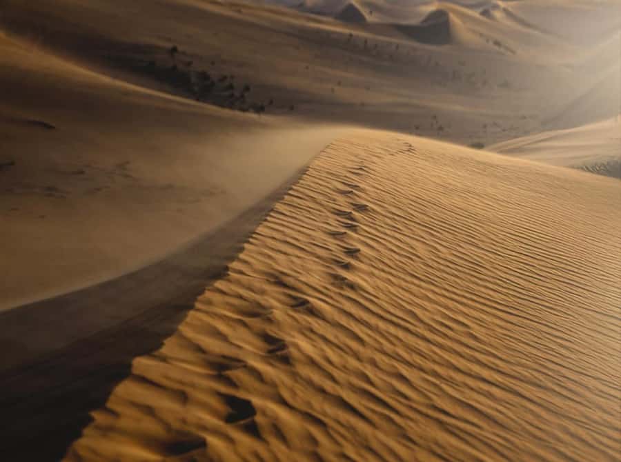 Doha: Nighttime Desert Safari with Dune Bashing & Camel Ride - Khor Al Udaid and the quiet after sunset