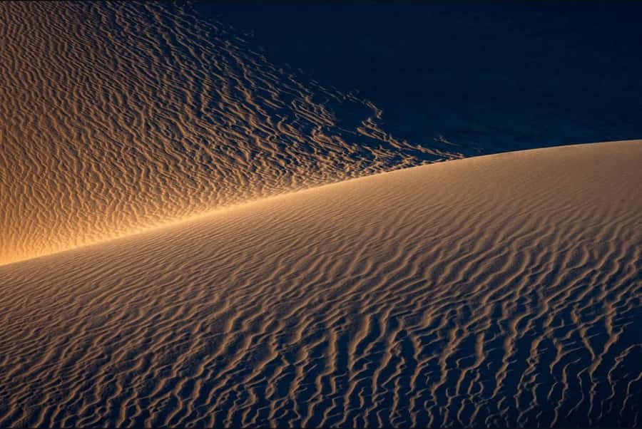Doha: Nighttime Desert Safari with Dune Bashing & Camel Ride - Tea, coffee, and a short camel encounter