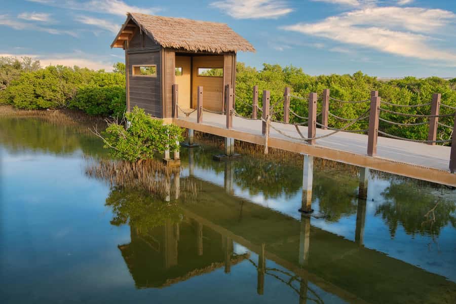 Doha North Qatar Tour Zubara Fort, Mangroves, Jumail Village - Why northern Qatar is worth your afternoon