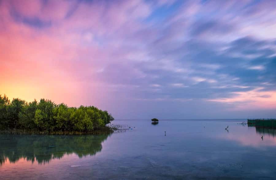Doha North Qatar Tour Zubara Fort, Mangroves, Jumail Village - Al Thakira mangroves, a natural change of pace