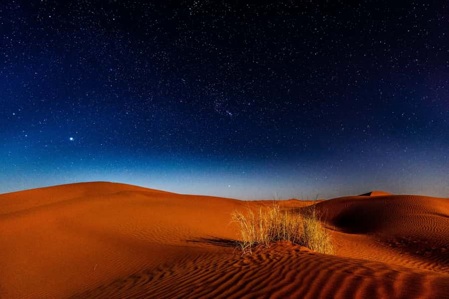 Doha: Private Desert Safari at Night with Stargazing - Dune bashing at the Inland Sea