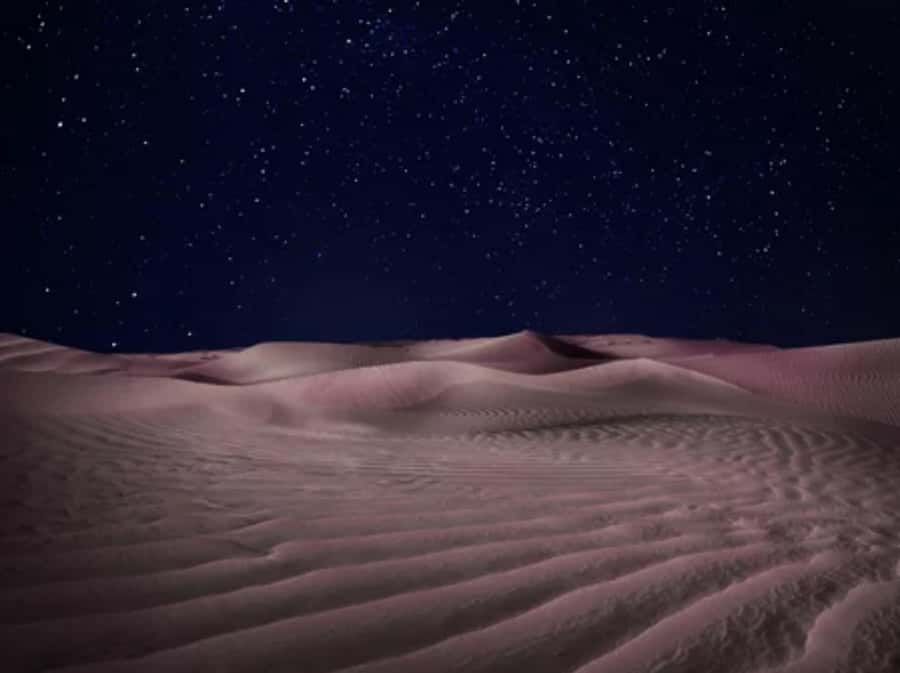 Doha: Private Desert Safari at Night with Stargazing - The guides make the difference