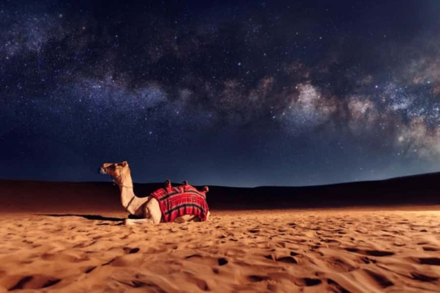 Doha: Private Desert Safari at Night with Stargazing - Tea, camels, and a short stop near Mesaieed