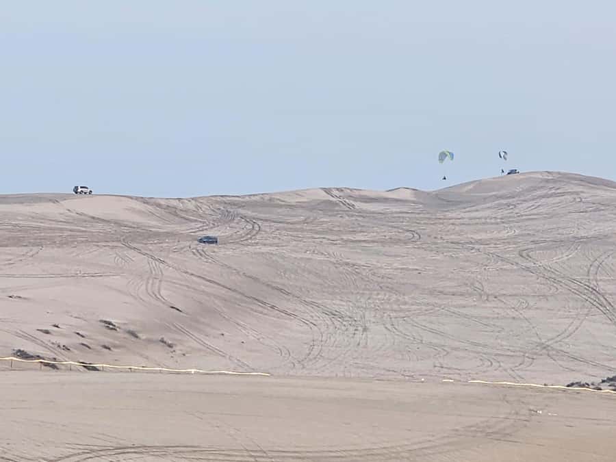 Doha:Private Desert Safari, Falcon, Sandboarding,inland sea - Sandboarding, with one equipment detail to know