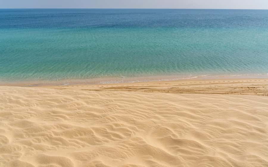 Doha:Private Desert Safari, Falcon, Sandboarding,inland sea - The Inland Sea, where sand meets water