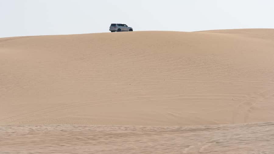 Doha:Private Desert Safari, Falcon, Sandboarding,inland sea - From Doha to Sealine Beach Resort