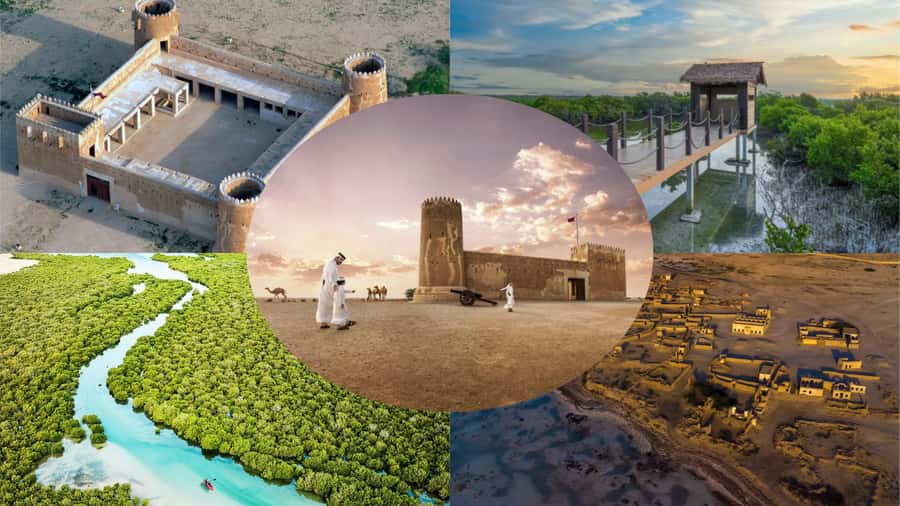 Doha: Private North Qatar Tour, Mangroves, & Zubara Fort - Al Khor harbor, where Qatar’s sea life remains visible