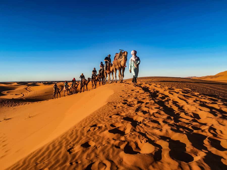 Doha: Quad Bike, Dune Bashing, Camel Ride & Inland Sea Tour - The Inland Sea near the Saudi border
