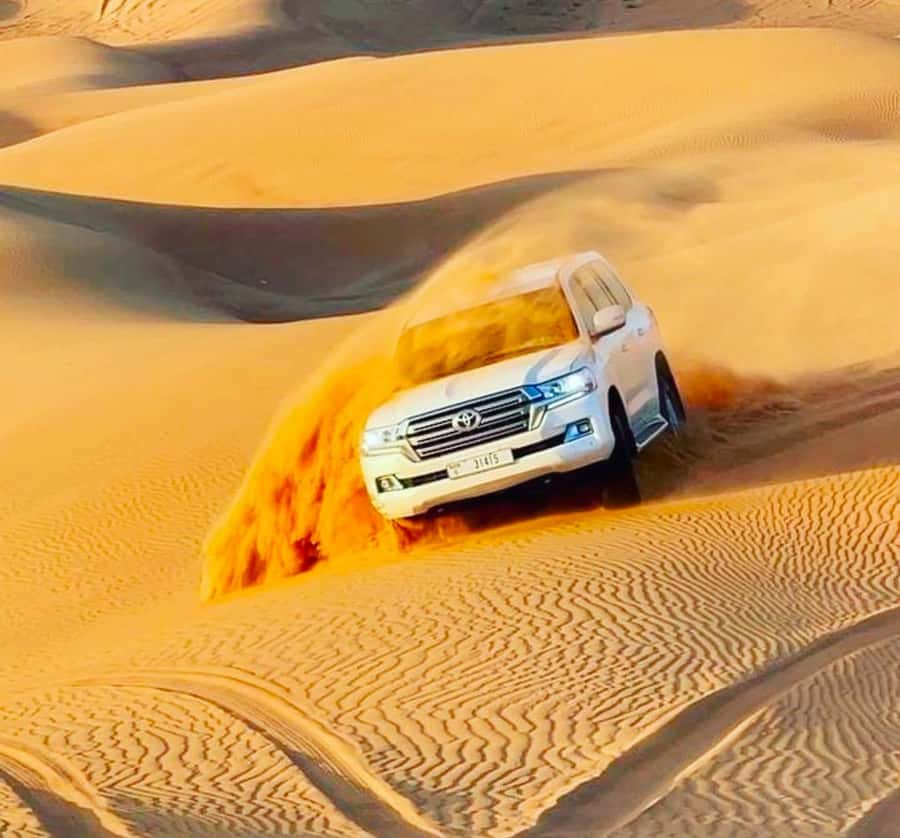 Doha: Relax Desert Safari, Camel Ride, Inland Sea, Swimming - Is $24 good value?