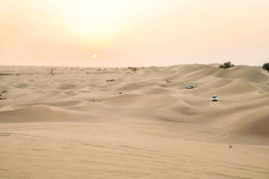 Doha: Safari, ATV, Camels, Sandboarding and Inland Sea Tour - Khor al Adaid, where sand meets sea
