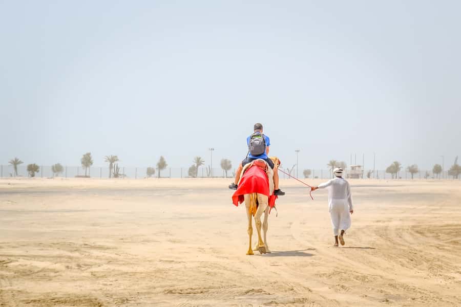 Doha: Safari, ATV, Camels, Sandboarding and Inland Sea Tour - What the guides add to the day