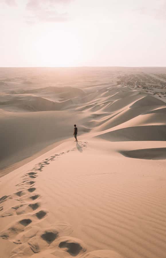 Doha: Safari, Camel Ride, Sandboarding and Inland Sea Tour - A short camel ride with a traditional feel