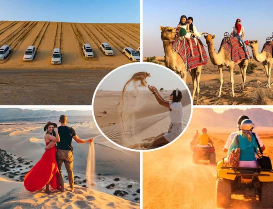 Doha: Safari, Camel Ride, Sandboarding and Inland Sea Tour - Who will enjoy this most