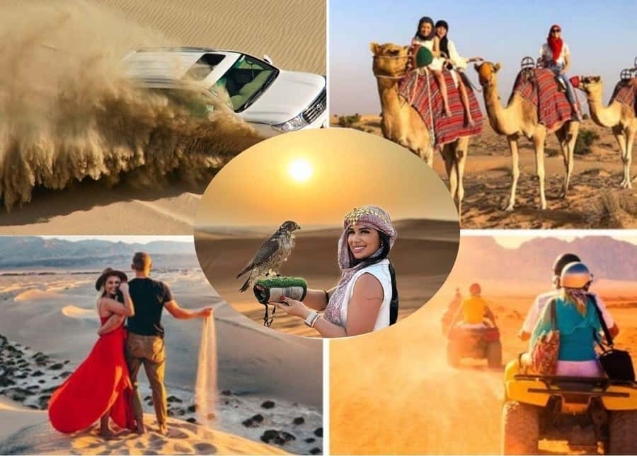 Doha: Safari, Camel Ride, Sandboarding and Inland Sea Tour - How much value do you get for $26?