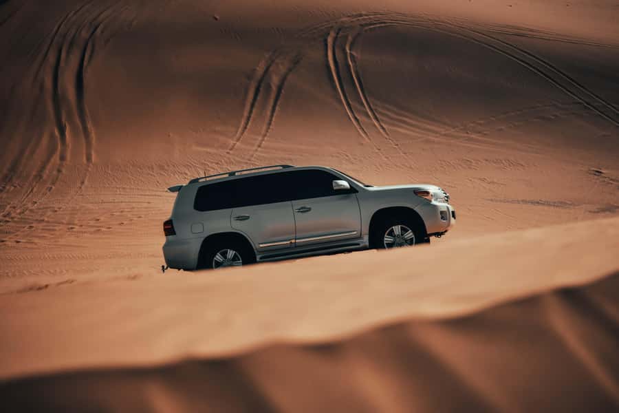 Doha:Safari Tour with Lunch/Dinner in Desert by the Sea Side - From Doha to Qatar’s southern desert