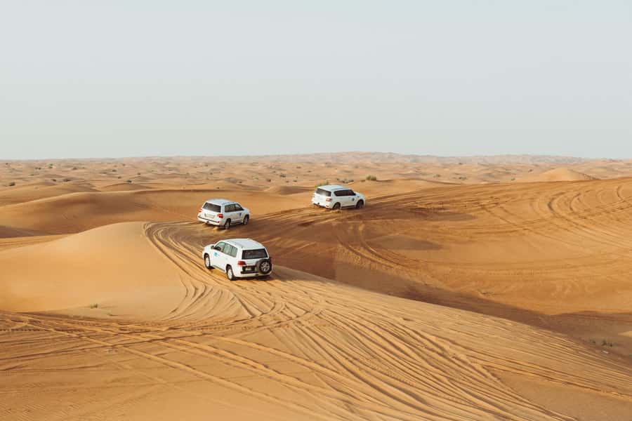 Doha:Safari Tour with Lunch/Dinner in Desert by the Sea Side - Who should book this desert safari?