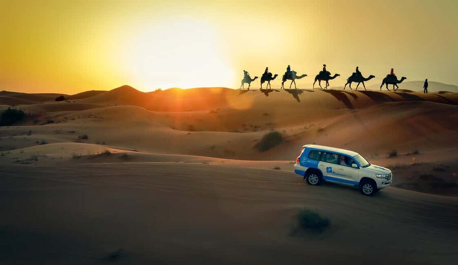 Doha: Sunset Desert Safari, ATV, Camel Ride and Sandboarding - The camel ride: short, traditional, and photo-friendly