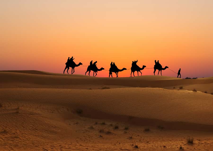 Doha: Sunset Safari, Dune Bashing, Sandboarding & Camel Ride - Guides make a real difference