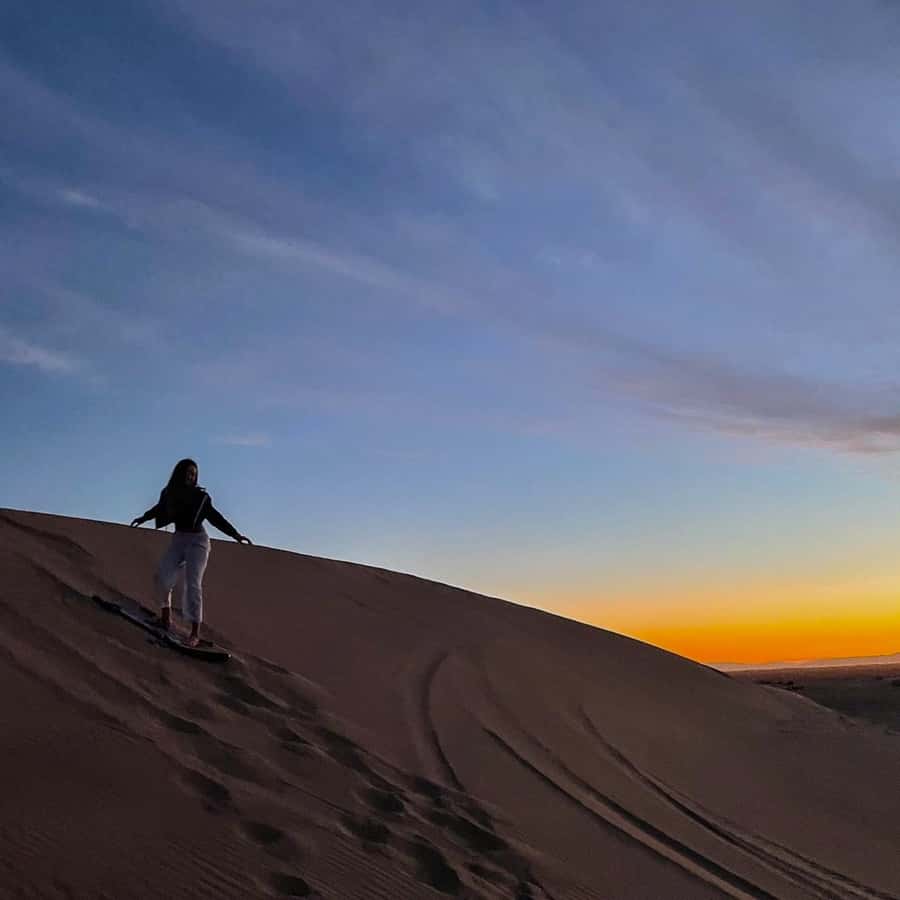 Doha: Sunset Safari, Dune Bashing, Sandboarding & Camel Ride - Who should book this safari?