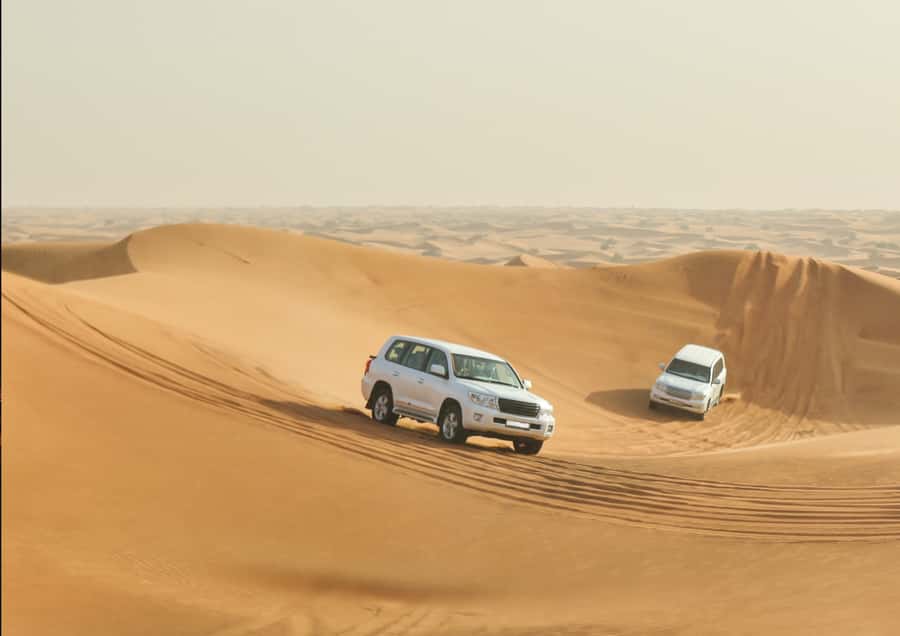 Doha: Sunset Safari, Dune Bashing, Sandboarding & Camel Ride - Booking flexibility and group choices