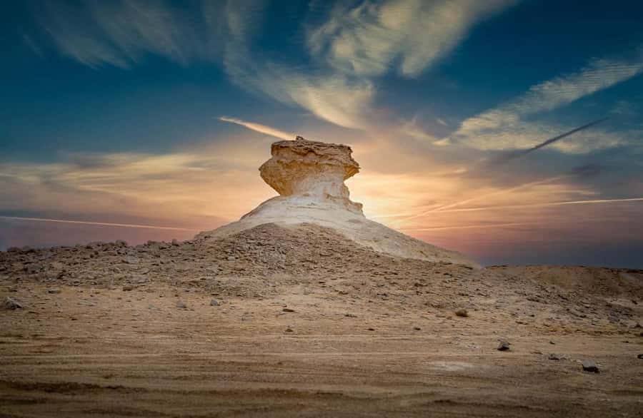 Doha: West Coast Qatar Tour, Sculptures, Camel Racing track - Zekreet Fort and the old coast