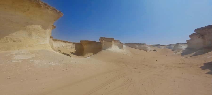 Doha: West Coast Qatar Tour, Sculptures, Camel Racing track - What the four-hour timing really gives you