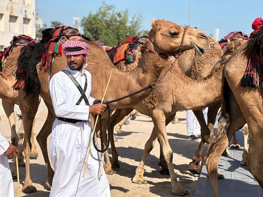 Doha: West Qatar Guided Journey With Pickup & Drop-Off - Key points to know before you book
