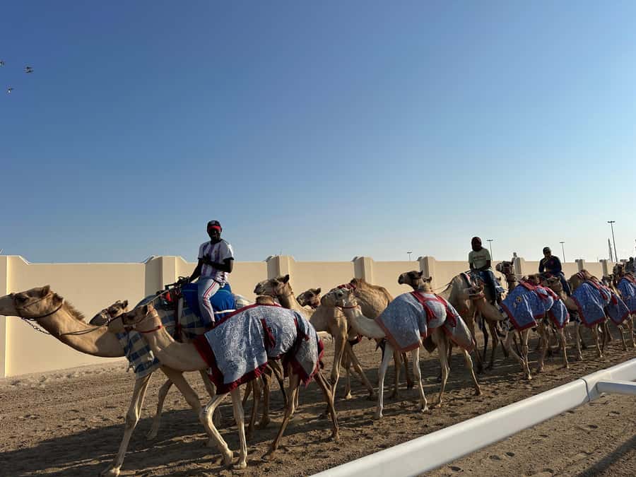 Doha: West Qatar Guided Journey With Pickup & Drop-Off - Zekreet’s limestone formations and Eye Rock