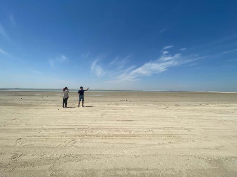 Doha: West Qatar Guided Journey With Pickup & Drop-Off - What the $48 price really gives you