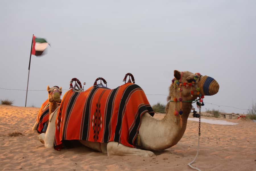 Dubai 4WD Evening Desert Safari - Sunset on the open sand
